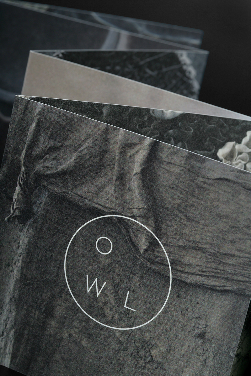 Owl 2014 09